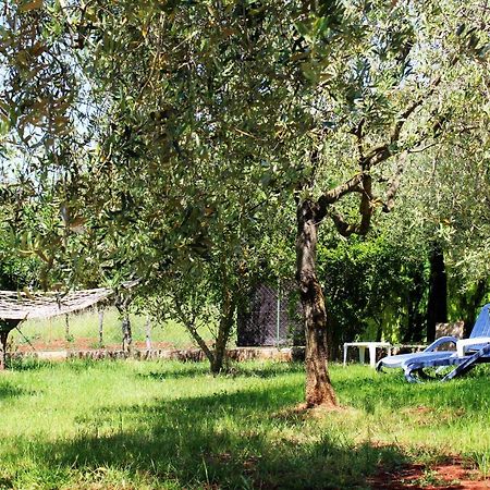 Вілла Oliven Garden Ровінь Екстер'єр фото